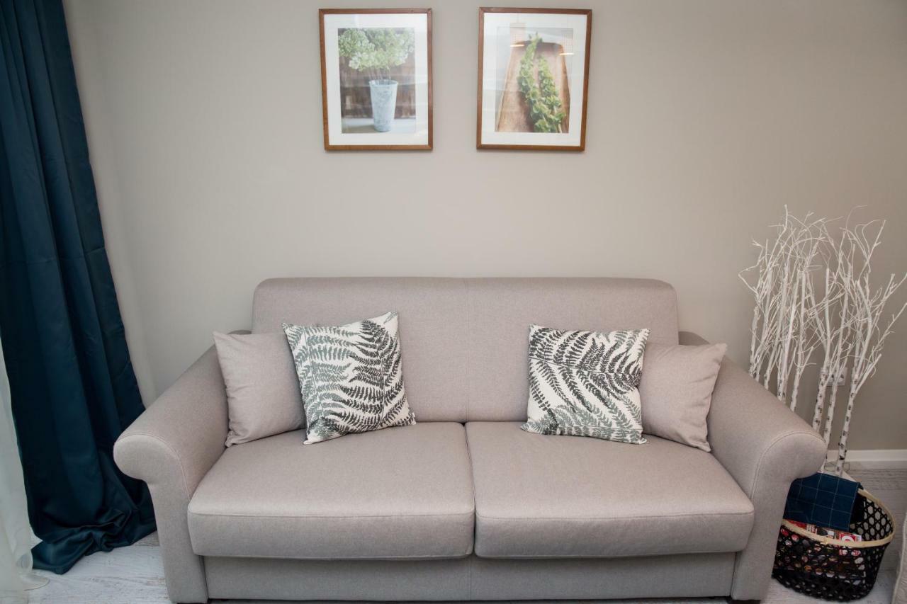 Ultracentral, Brand New, Modern And Cozy Apartment ティミショアラ エクステリア 写真